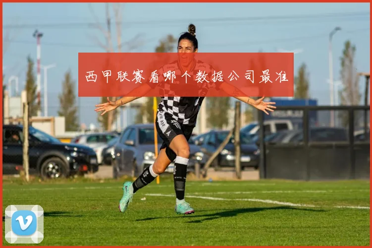 西甲联赛看哪个数据公司最准