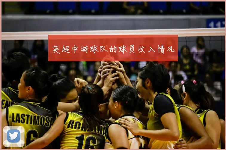 英超中游球队的球员收入情况