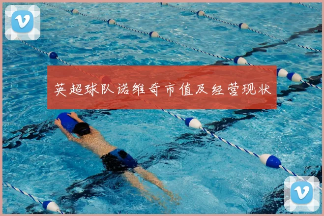 英超球队诺维奇市值及经营现状