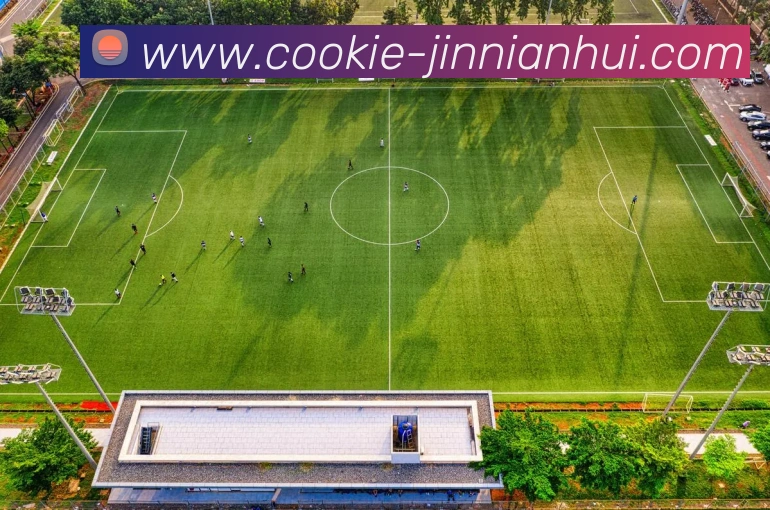 数据防护可视化